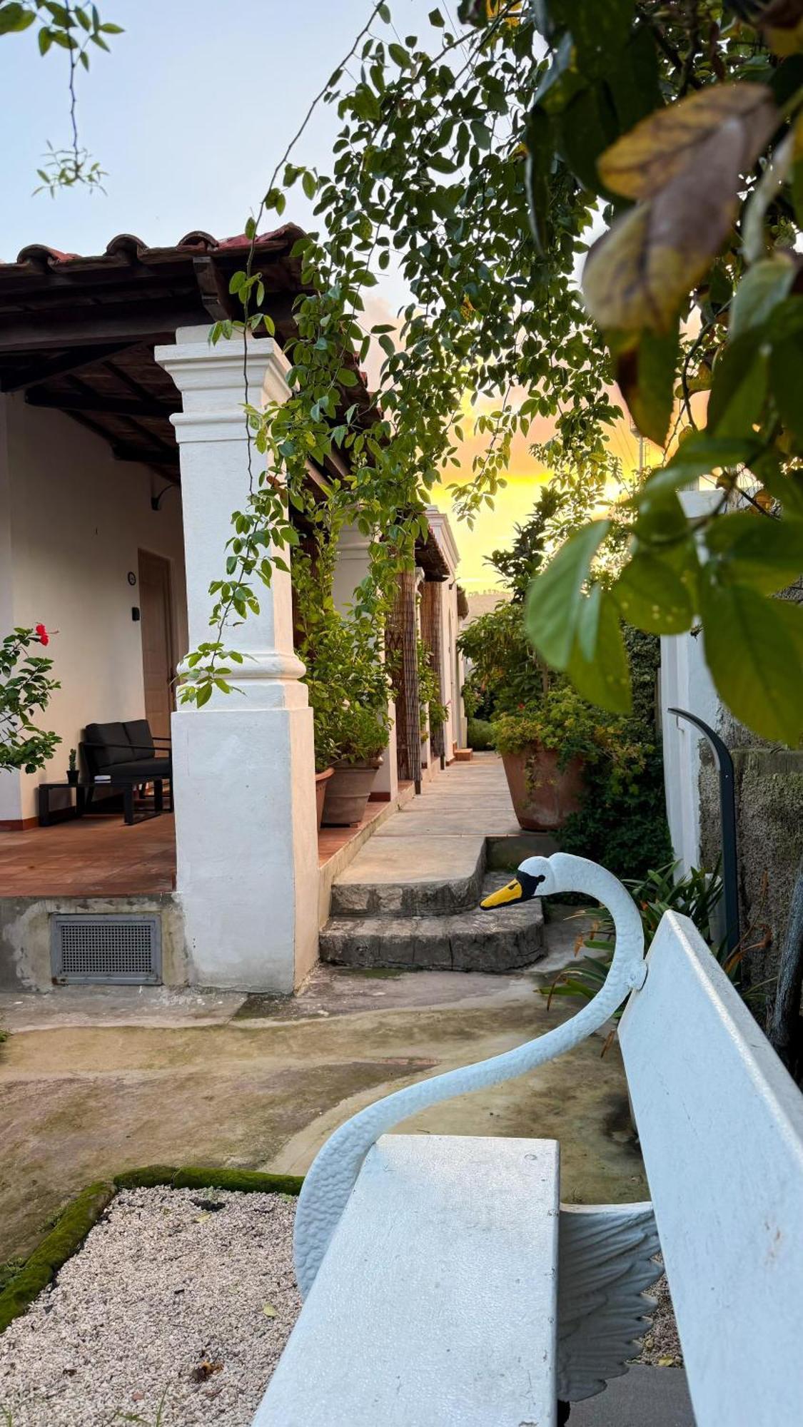 Il Cigno B&B Capri Dış mekan fotoğraf