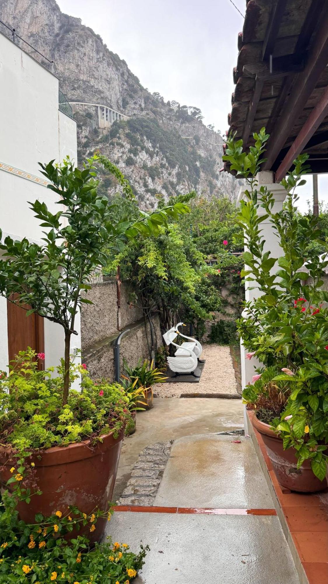 Il Cigno B&B Capri Dış mekan fotoğraf