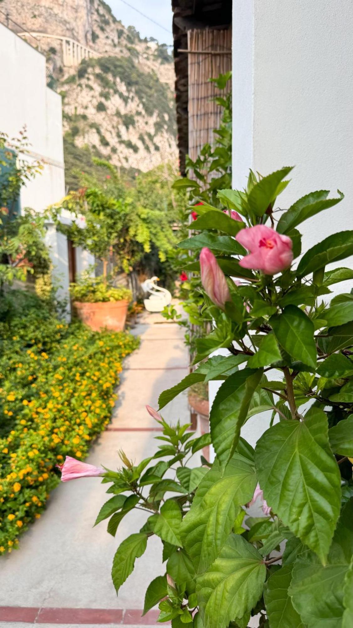 Il Cigno B&B Capri Dış mekan fotoğraf