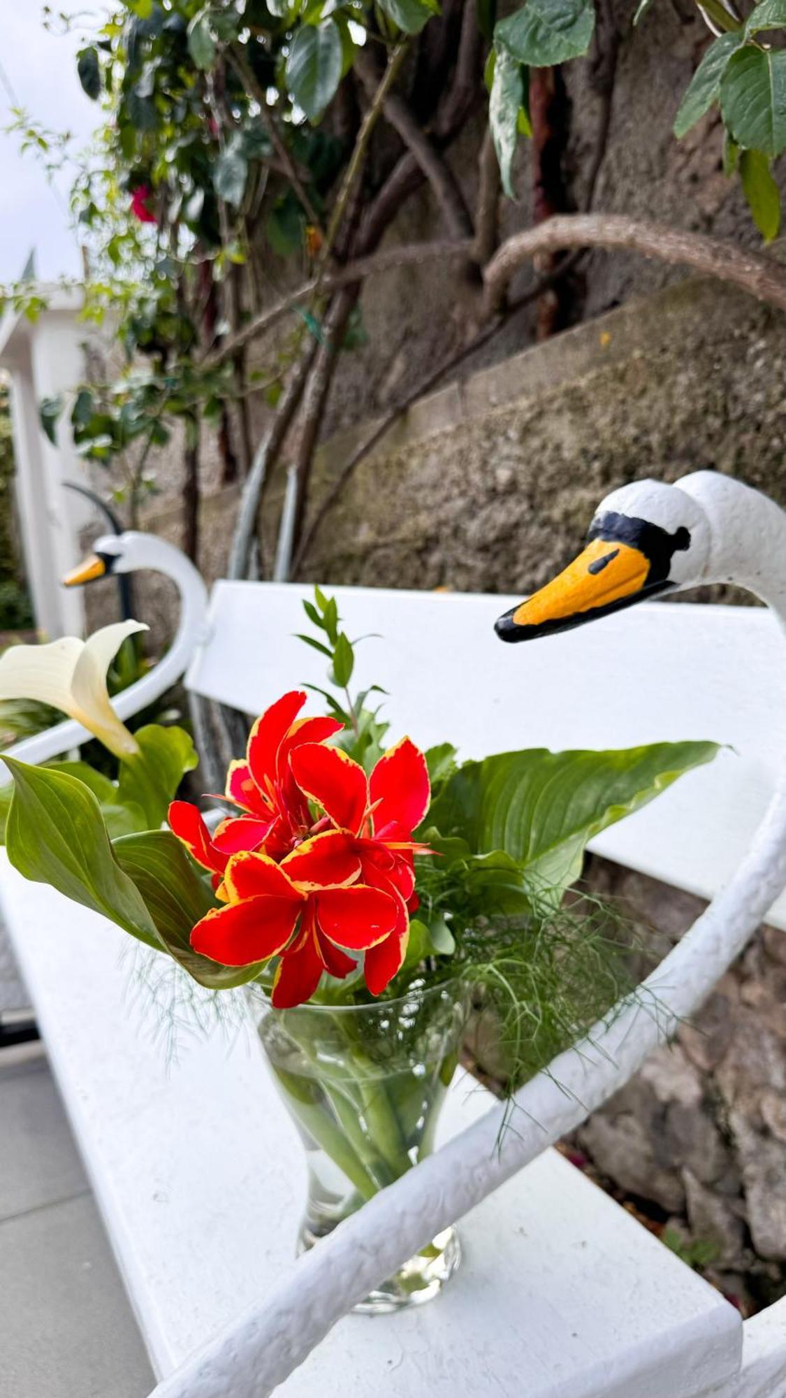Il Cigno B&B Capri Dış mekan fotoğraf
