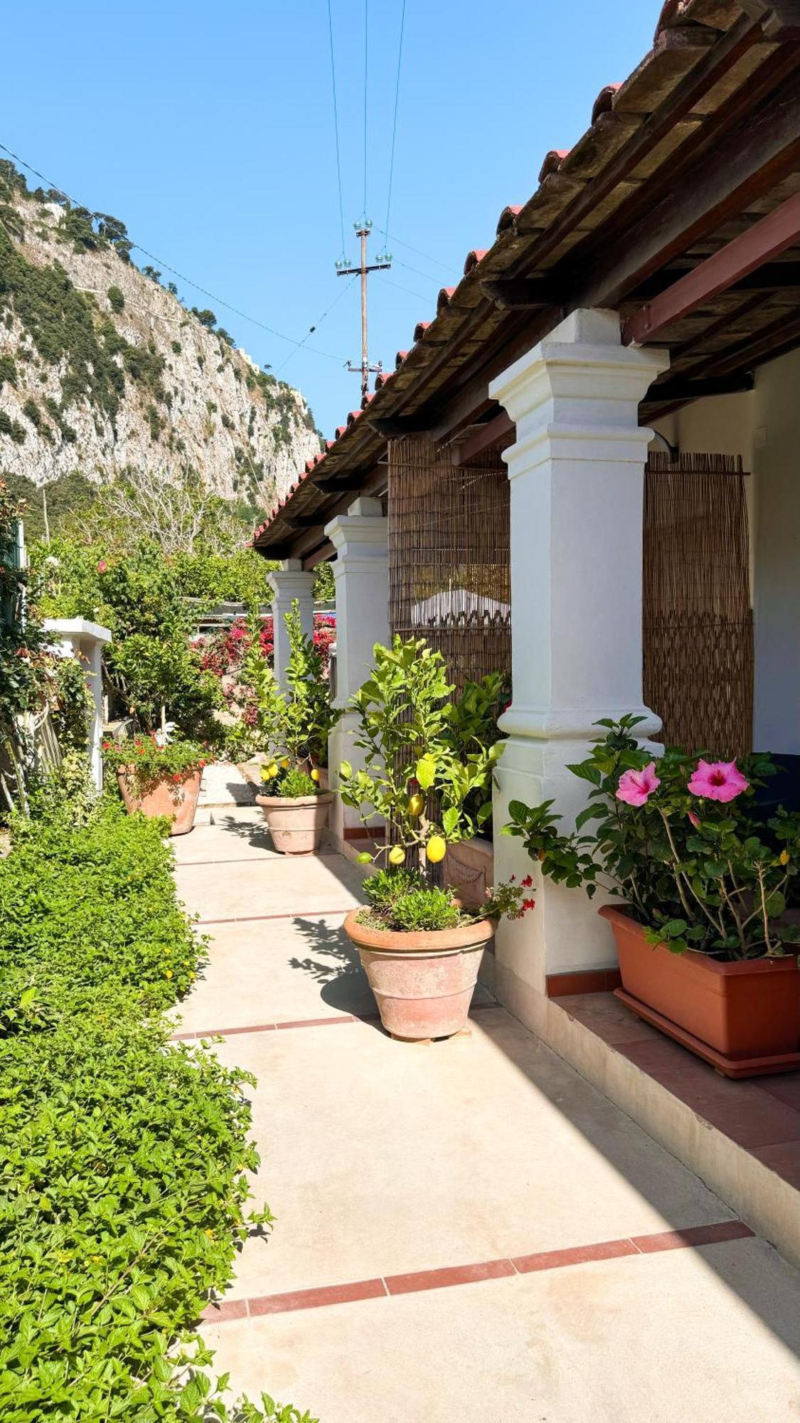 Il Cigno B&B Capri Dış mekan fotoğraf