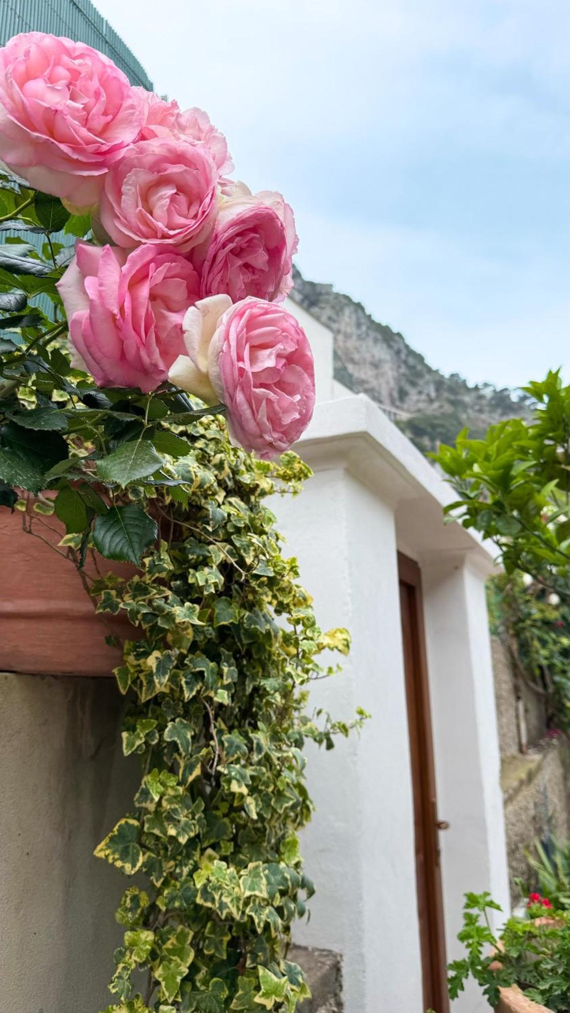 Il Cigno B&B Capri Dış mekan fotoğraf