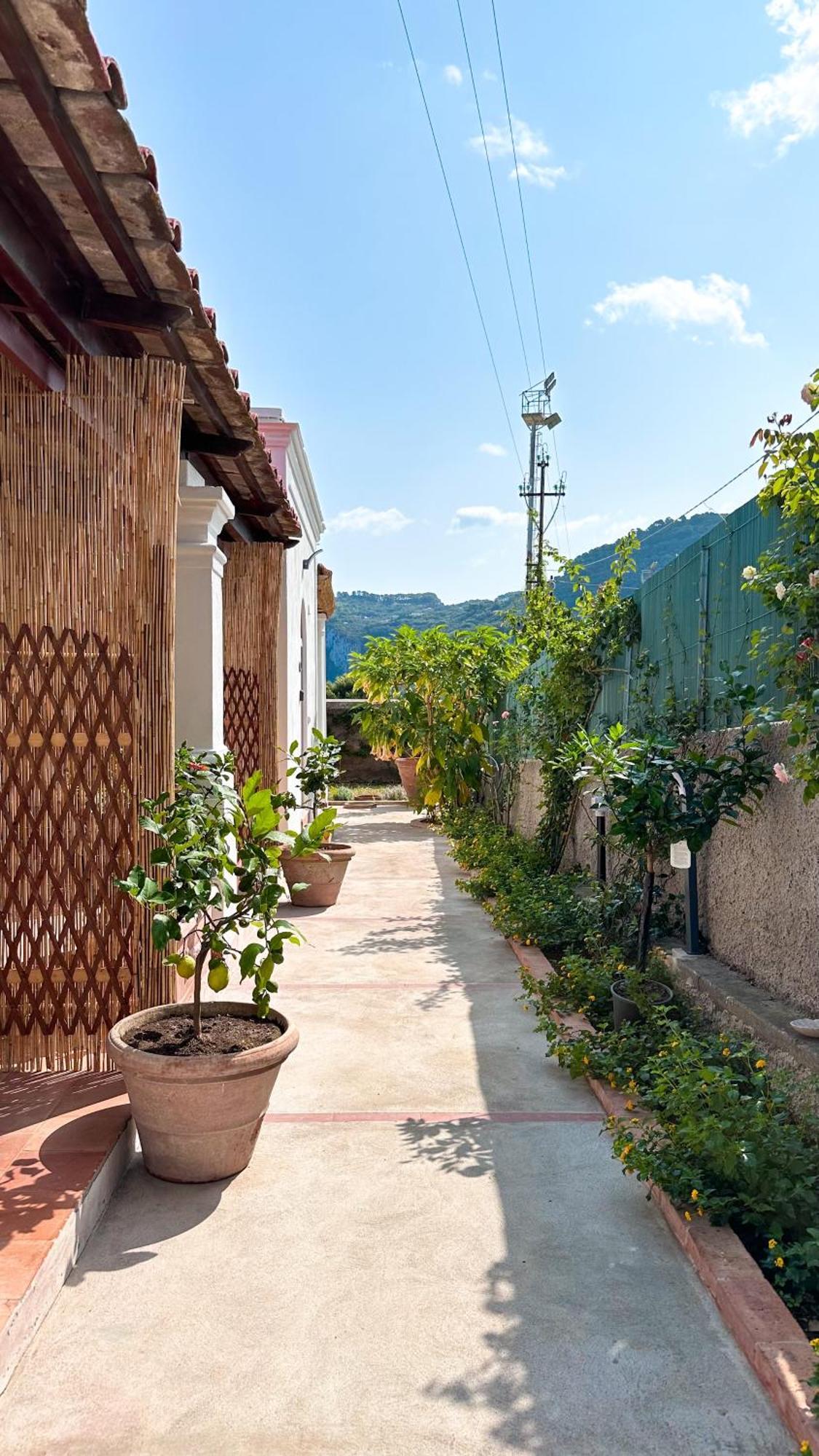 Il Cigno B&B Capri Dış mekan fotoğraf